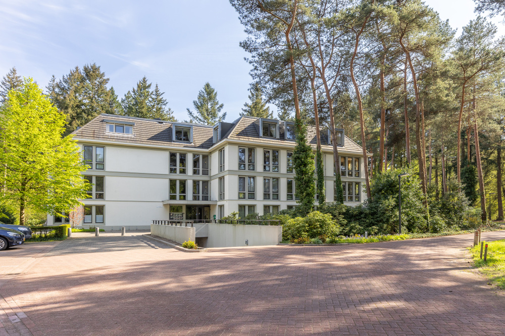Foto 19 1000w