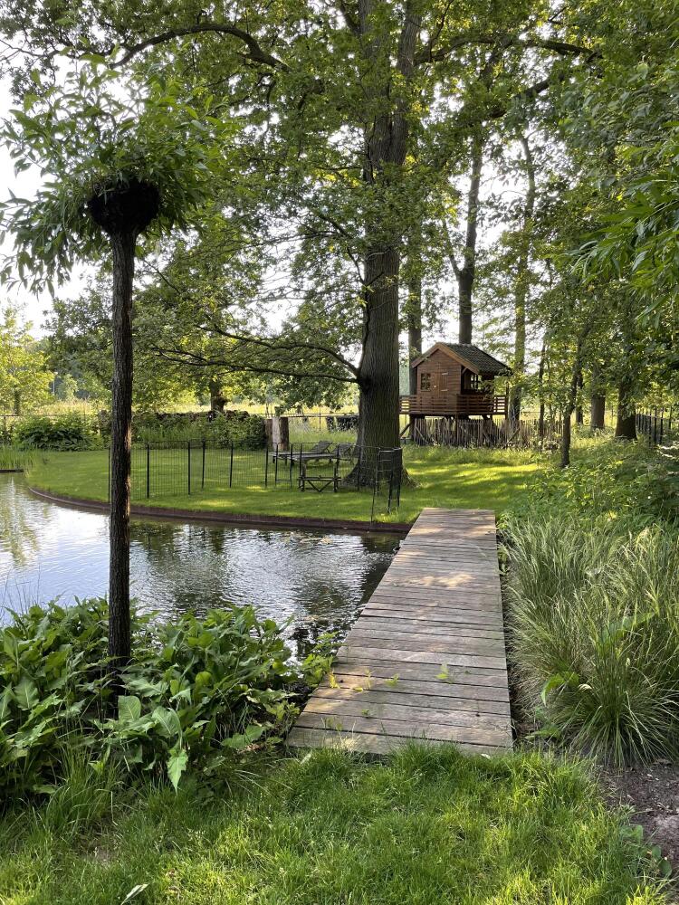 Foto 60 1000w