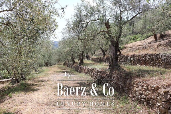 photo 41 Country house for sale 480 m²