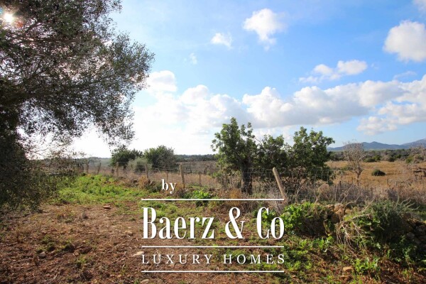 photo 3 Beautiful luxury home in Cala Murada