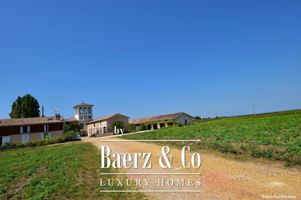 photo 6 WINE CHATEAU, BORDEAUX, SAUTERNES, UNIQUE PANORAMIC VIEW