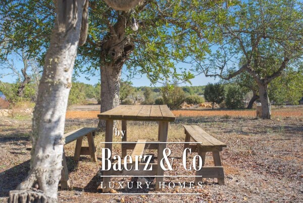 photo 49 Beautiful luxury home in San Mateo, San Mateo