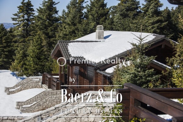 photo 5 950495 - Chalet | Eptalofos, Parnassos, 480 sq.m.