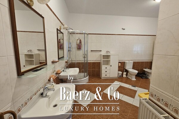 photo 19 Osijek, Lower Town, renovated house with great potential, 700 m2, plot 947 m2