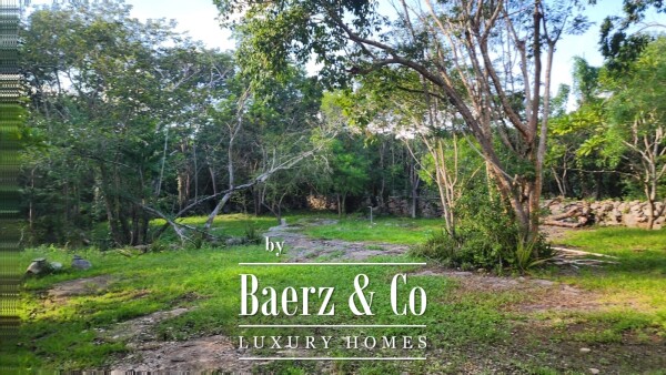 photo 15 Restored Hacienda