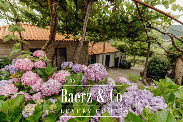 photo 21 Magnificent Manor House with winery