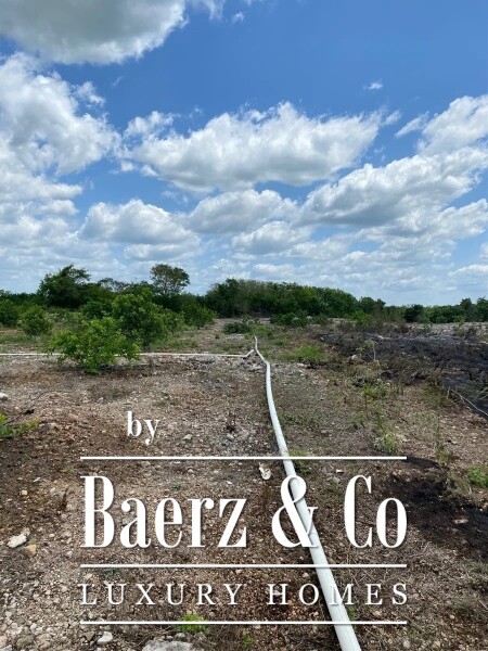 photo 40 Street 24 x 29 