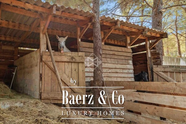 photo 20 Exceptional Villa in a Natural Setting Between Vineyards and Forest, Just 10 Minutes from the Beaches