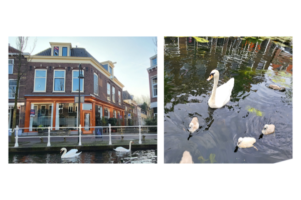 photo 85 Oosteinde 191