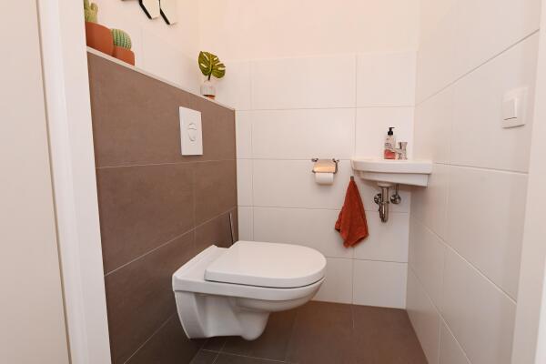 photo 20 Druivenmuur 11