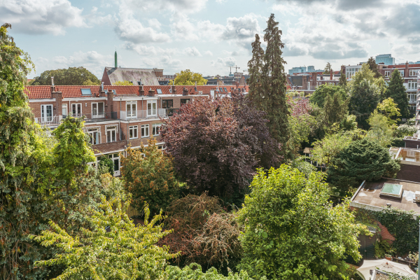 photo 17 Olympiaplein 43 B