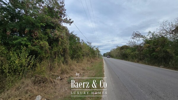 photo 9 Temozon  Norte 