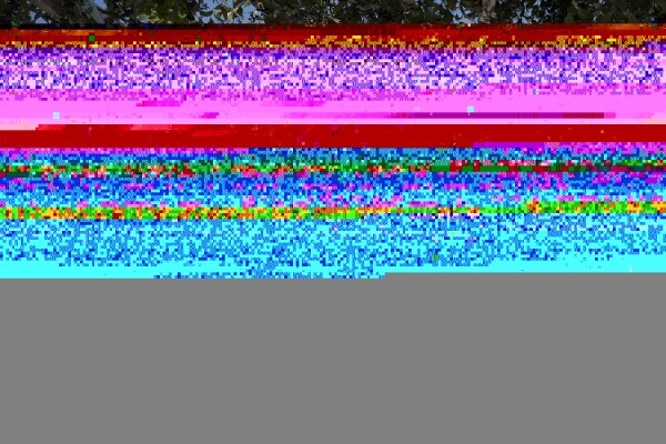 photo 12 Istra, Bale - Ekskluzivne luksuzne vile suvremene arhitekture