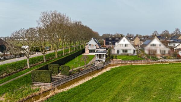 photo 52 Timotheegras 13