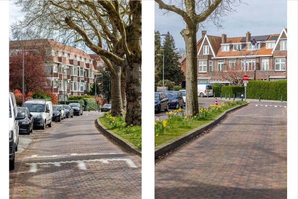 photo 71 Berglustlaan 74