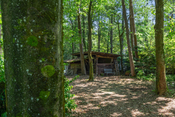 photo 43 Brandrijsweg 2