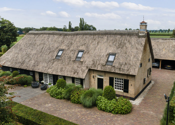DONGEN