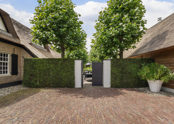 DONGEN