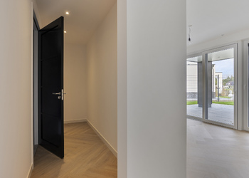 DE LUTTE